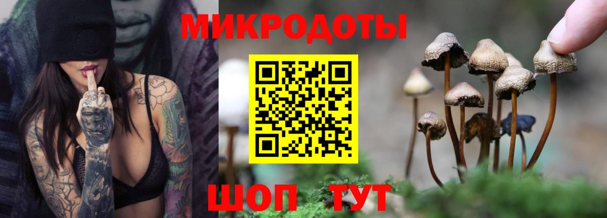 Галлюциногенные грибы прущие грибы  Псилоцибиновые грибы GOLDEN TEACHER  Димитровград  Вход с VPN 